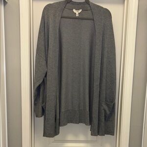 Terra & Sky Silver Gray Cardigan Sweater